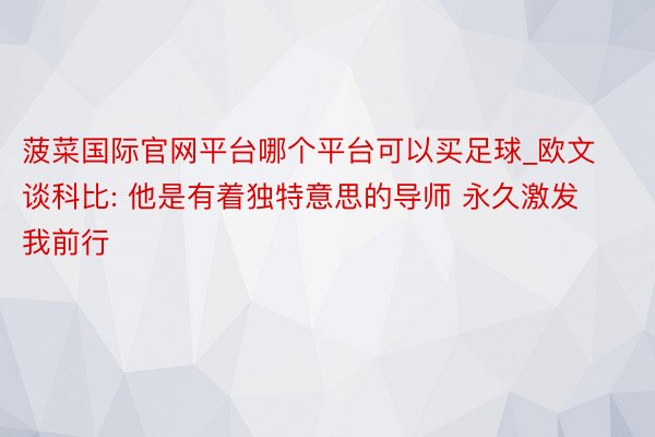 菠菜国际官网平台哪个平台可以买足球_欧文谈科比: 他是有着独特意思的导师 永久激发我前行