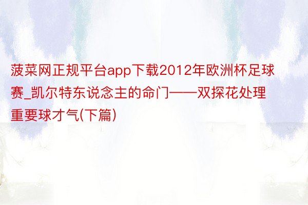 菠菜网正规平台app下载2012年欧洲杯足球赛_凯尔特东说念主的命门——双探花处理重要球才气(下篇)