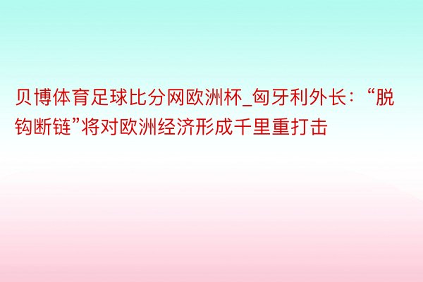 贝博体育足球比分网欧洲杯_匈牙利外长：“脱钩断链”将对欧洲经济形成千里重打击