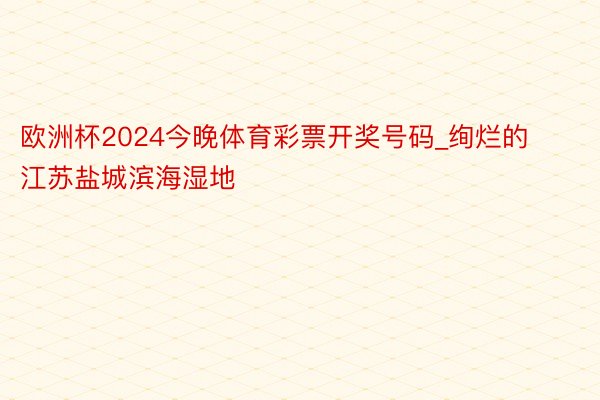 欧洲杯2024今晚体育彩票开奖号码_绚烂的江苏盐城滨海湿地