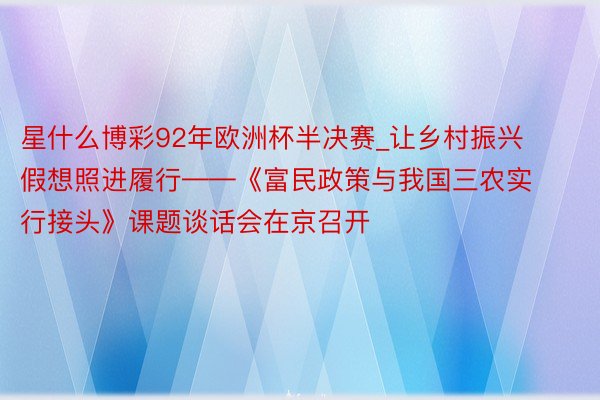 星什么博彩92年欧洲杯半决赛_让乡村振兴假想照进履行——《富民政策与我国三农实行接头》课题谈话会在京召开